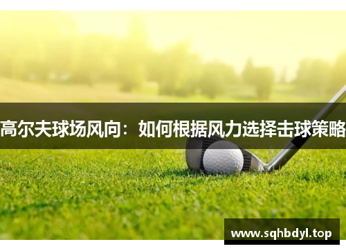 高尔夫球场风向：如何根据风力选择击球策略
